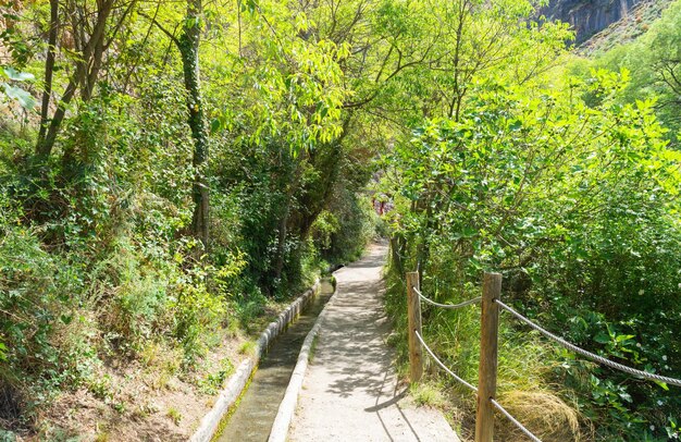 paesaggio di campagna in natura