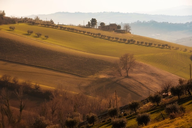 Paesaggio di campagna nei campi agricoli autunnali tra le colline