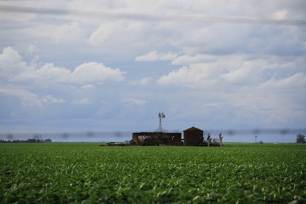 paesaggio di campagna