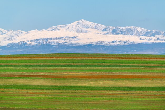 Paesaggio di campi agricoli arati