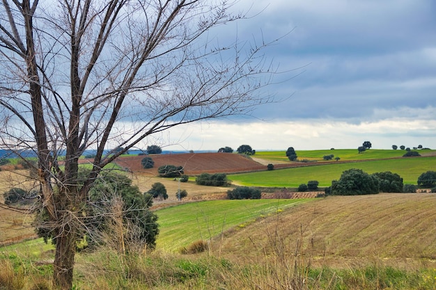 Paesaggio di campi agricoli asciutti in inverno a Madrid, Spagna.