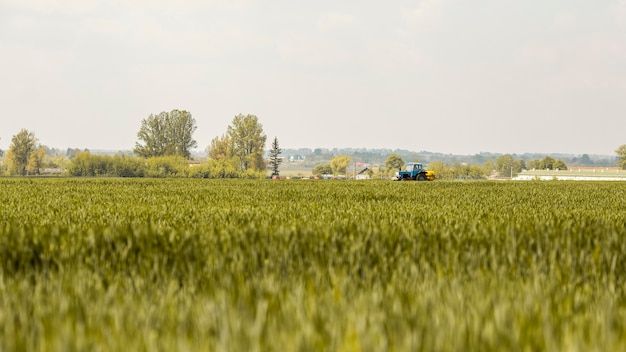 Paesaggio di campo agricolo