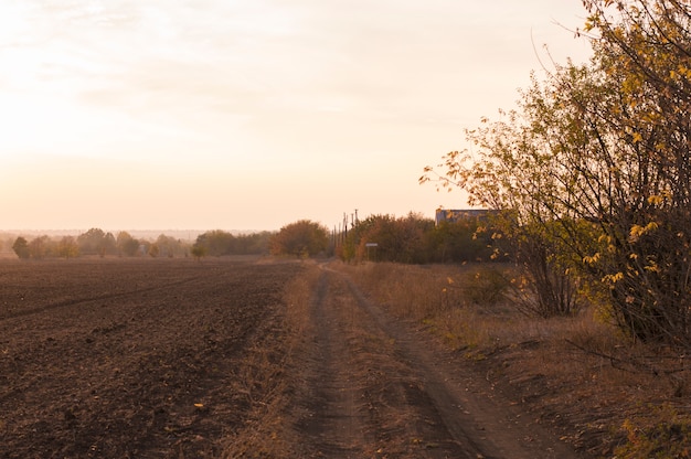 Paesaggio di campo al tramonto