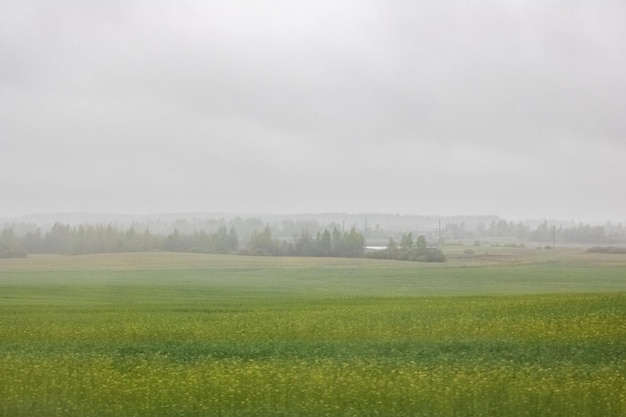 Paesaggio di campo autunnale nella nebbia soft focus