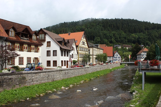 Paesaggio di case tipiche nella città tedesca di Schiltach.