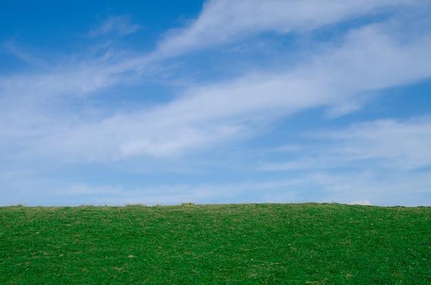 Paesaggio di collina verde e cielo blu