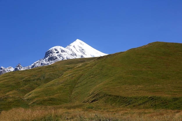 Paesaggio di erba verde e montagne innevate