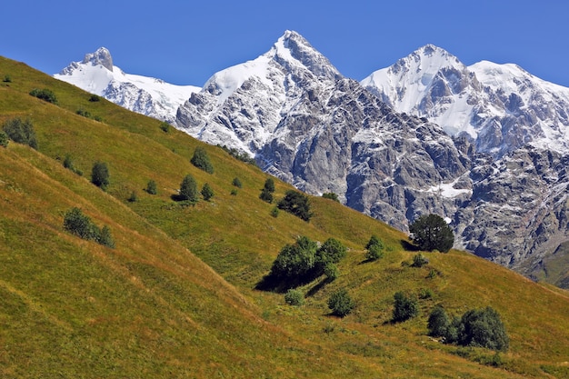 Paesaggio di erba verde e montagne innevate