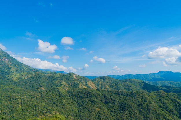 Paesaggio di foresta e montagna.