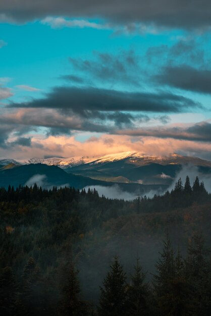 Paesaggio di foreste e montagne di conifere Viaggia in uno scenario sereno