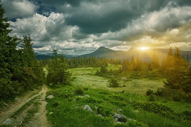 Paesaggio di gamme di primavera di strada di montagna