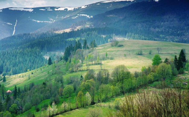 Paesaggio di grandi montagne in primavera nella giornata di sole