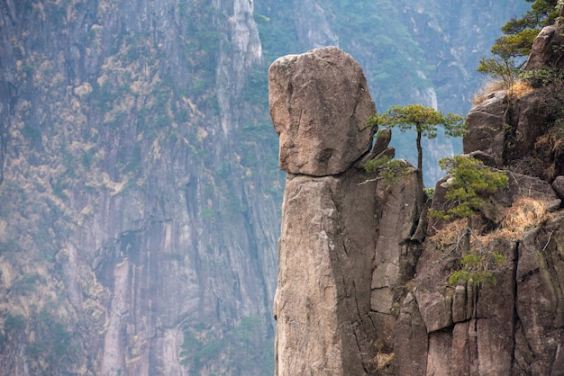 Paesaggio di Huangshan, catena montuosa nella provincia meridionale di Anhui, nella Cina orientale.