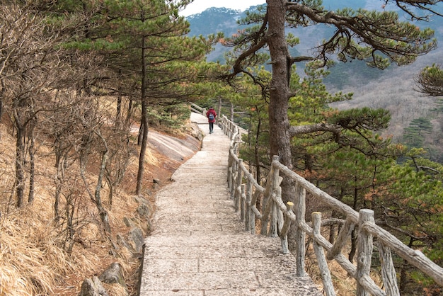 Paesaggio di Huangshan, catena montuosa nella provincia meridionale di Anhui, nella Cina orientale.