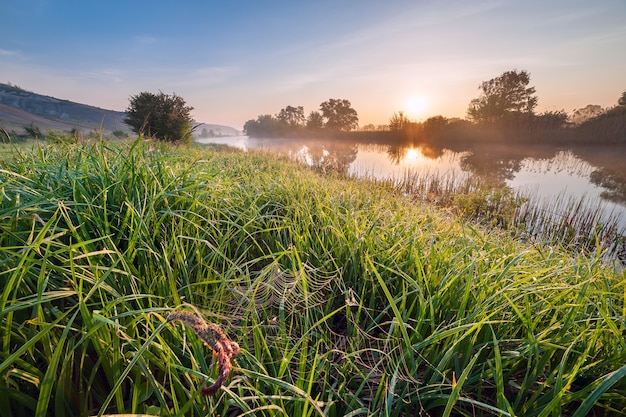 Paesaggio di mattina con fiume e web in erba, freschezza primaverile all'alba