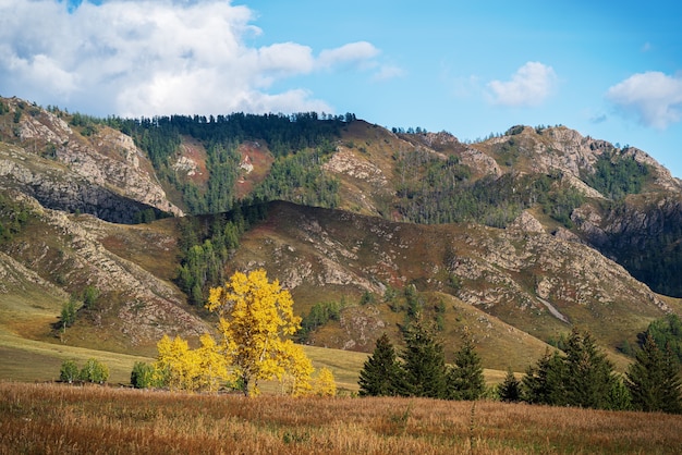 Paesaggio di montagna autunnale lungo il tratto Chuysky