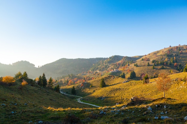 Paesaggio di montagna autunnale. Strada sterrata in prospettiva. Montagna del Grappa, Alpi Italiane