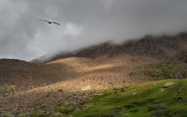 Paesaggio di montagna bella vista della pittoresca gola tra le nuvole tempo nuvoloso la natura della montagna Altai Sopra le nuvole Vista dalla cima della montagna Nebbia in montagna