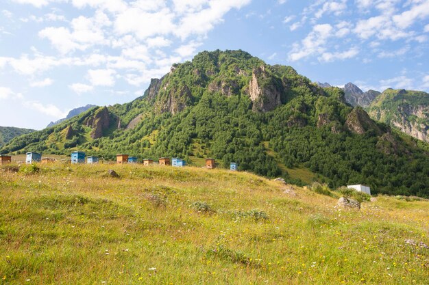 Paesaggio di montagna Belle montagne e prati con alveari contro il cielo blu