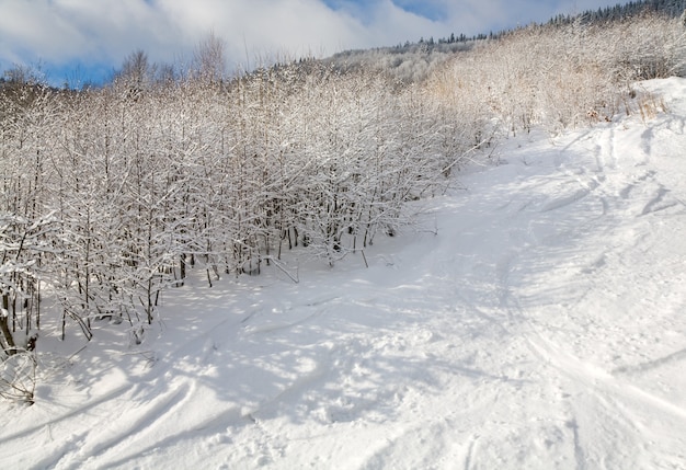 Paesaggio di montagna calmo invernale con rime e foreste innevate e piste da sci ski