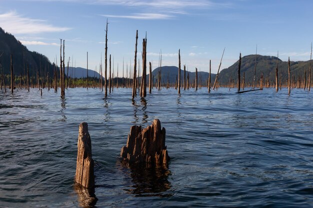 Paesaggio di montagna canadese e sfondo della natura del lago