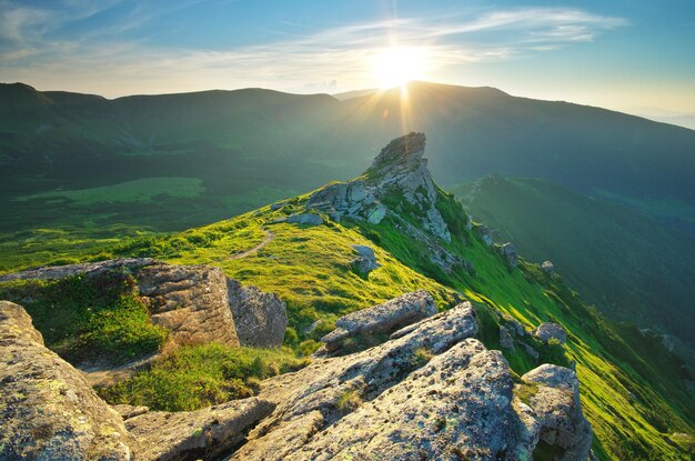 Paesaggio di montagna. Composizione della natura.