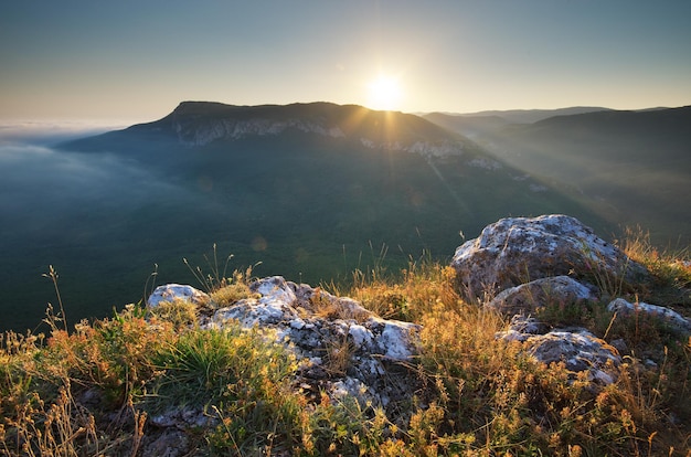 Paesaggio di montagna. Composizione della natura.