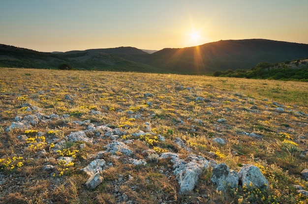 Paesaggio di montagna Composizione della natura