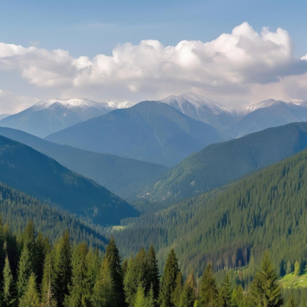 Paesaggio di montagna con boschi di conifere