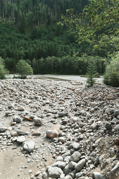 Paesaggio di montagna con casa e pineta