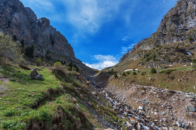 Paesaggio di montagna con fiume