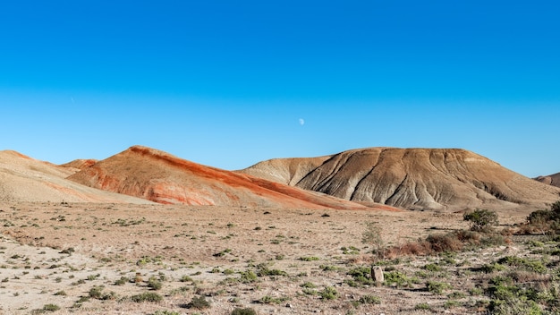 Paesaggio di montagna con la luna