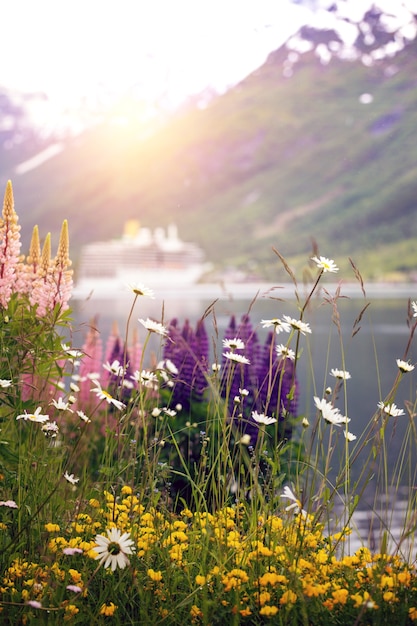 Paesaggio di montagna con nave da crociera e lupino rosa, norvegia