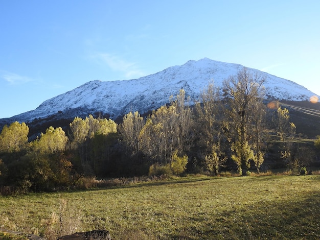 Paesaggio di montagna con prati e campi di grano