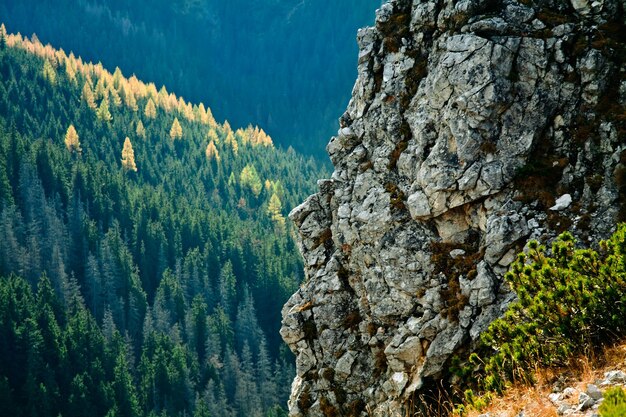 Paesaggio di montagna con rocce