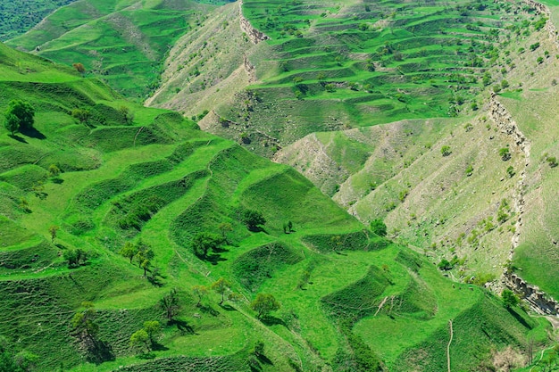 Paesaggio di montagna con verdi campi di fieno terrazzati sulle piste