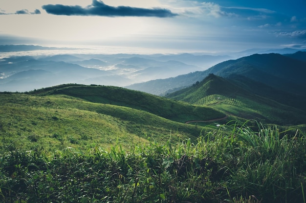 Paesaggio di montagna della provincia Thailandia di Doi Suan Ya Luang Nan