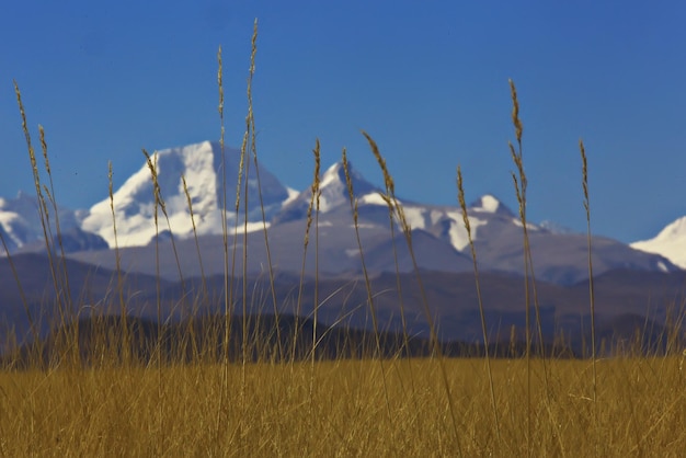 paesaggio di montagna della scogliera in Himalaya