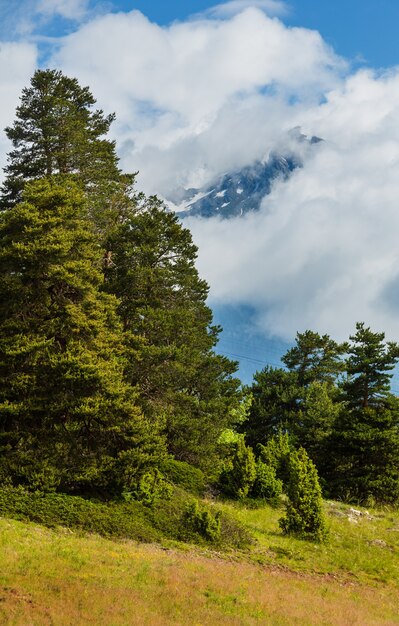 Paesaggio di montagna delle Alpi di estate con fiori selvatici sul pendio del pascolo e picco di nuvole, Svizzera.