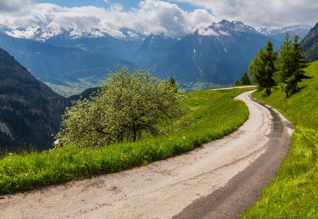 Paesaggio di montagna delle Alpi di estate con strada rurale e fiori selvatici sul pendio del pascolo, Svizzera.