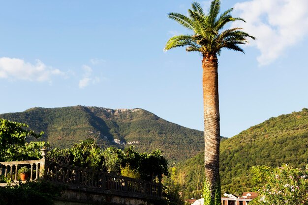 Paesaggio di montagna di montagna