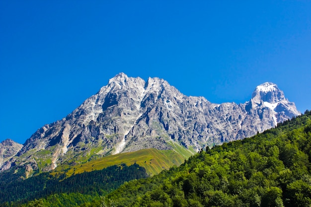 Paesaggio di montagna di Ushba e splendida vista in Georgia. Zona forestale e alpina.