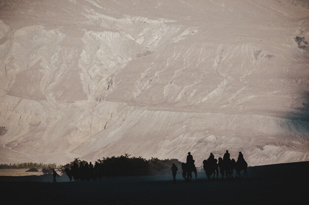 Paesaggio di montagna e equitazione cammello