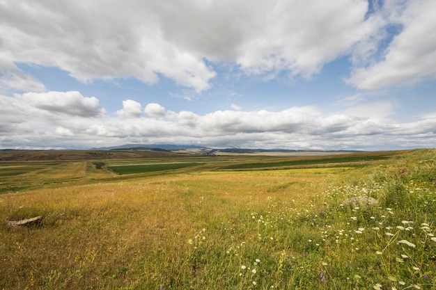 Paesaggio di montagna e vista a Tsalka, Georgia. Campo verde e nuvole. Agricolo.