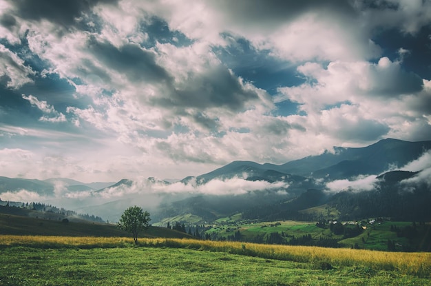 Paesaggio di montagna estiva