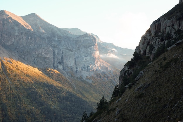 Paesaggio di montagna, foresta sul pendio e rocce tra le nuvole, sera sugli altopiani, estate