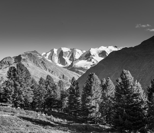 Paesaggio di montagna in bianco e nero