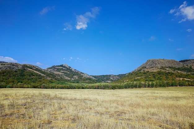 Paesaggio di montagna in estate, Romania