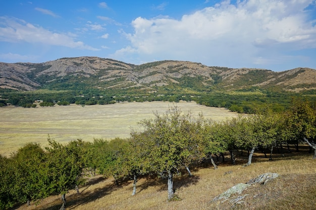 Paesaggio di montagna in estate, Romania