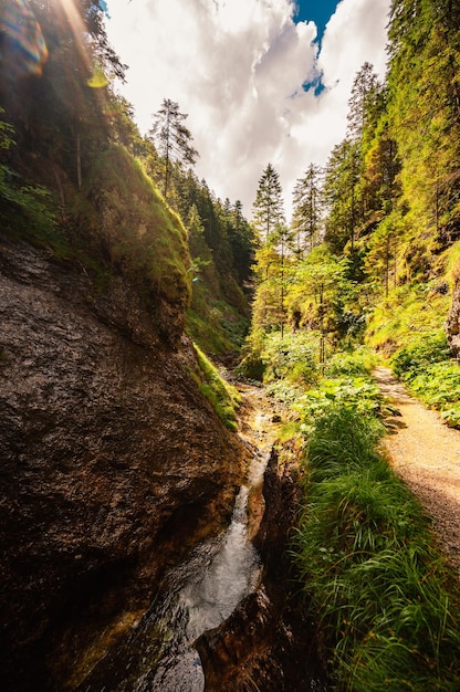 Paesaggio di montagna in montagna Juranova dolina Valley nel parco nazionale dei Tatra occidentali Slovacchia oravice Regione di Orava